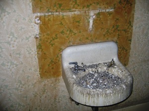 Sink nest, 2006