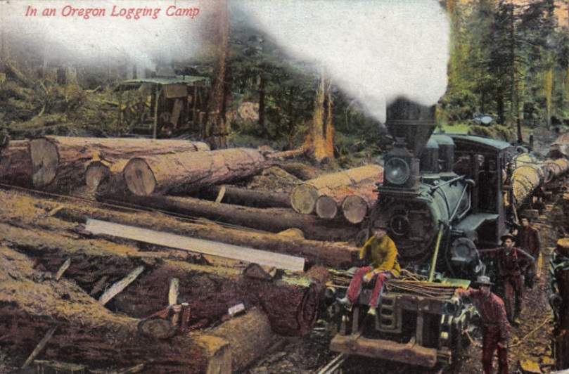 Railroad Logging in Oregon circa 1910